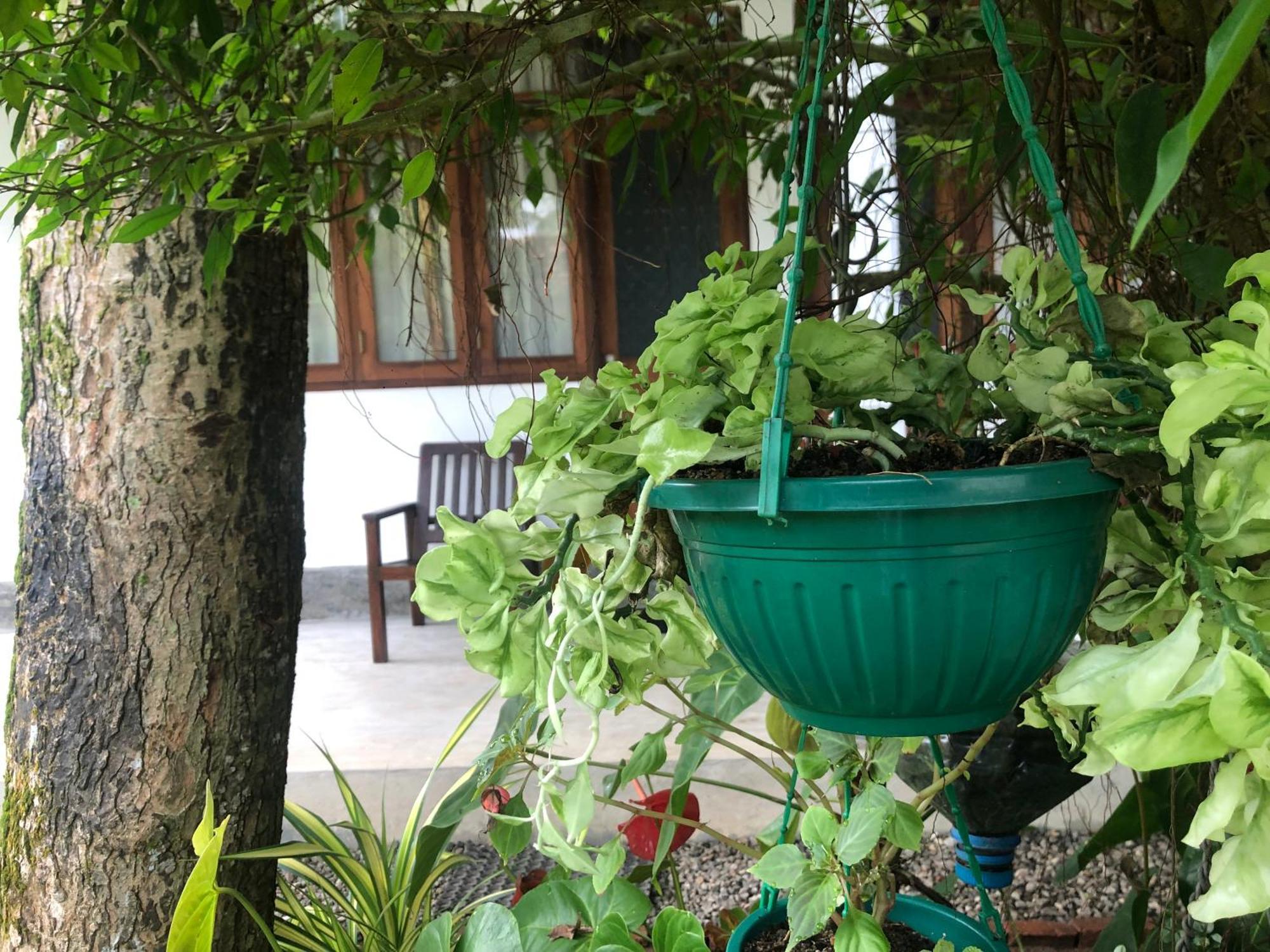 Waves Hotel Hikkaduwa Ngoại thất bức ảnh